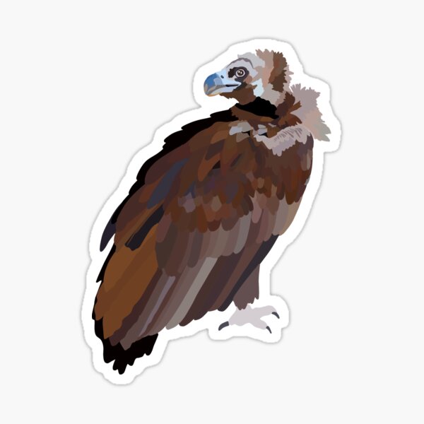 Item preview, C is for Cinereous Vulture,Cinereous Vulture Illustration – Powerful Raptor Art for Wildlife and Nature Lovers designed and sold by PrettylittlepastelUk.