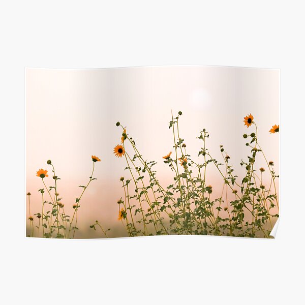 "Spread Happiness " Poster for Sale by Photosbybrooke Redbubble