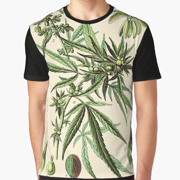 Cannabis Sativa - Vintage botanical illustration Graphic T-Shirt