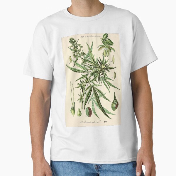 Vista previa del artículo con la obra «Cannabis Sativa - Ilustración botánica vintage», diseñado y vendido por DejaVuStudio.