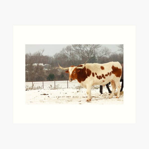 Item preview, Austin Snowy Longhorn designed and sold by Lorri Crossno Nevil.