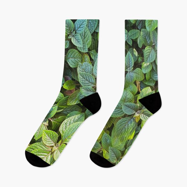 Item preview, Plant Leaves Nature Photograph designed and sold by ravenmandyshop.