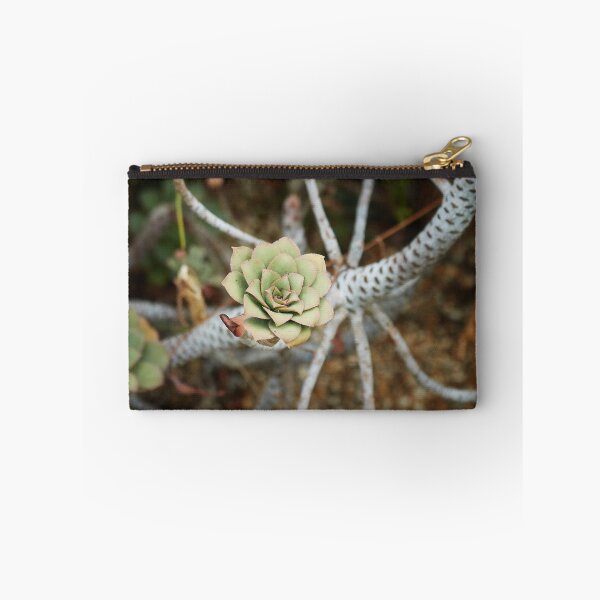 Item preview, The succulent designed and sold by AdrianLewis66.