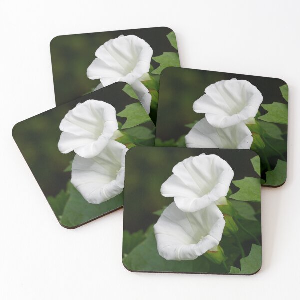Item preview, Hedge Bindweed 1 designed and sold by Jouko Lehto Photography.