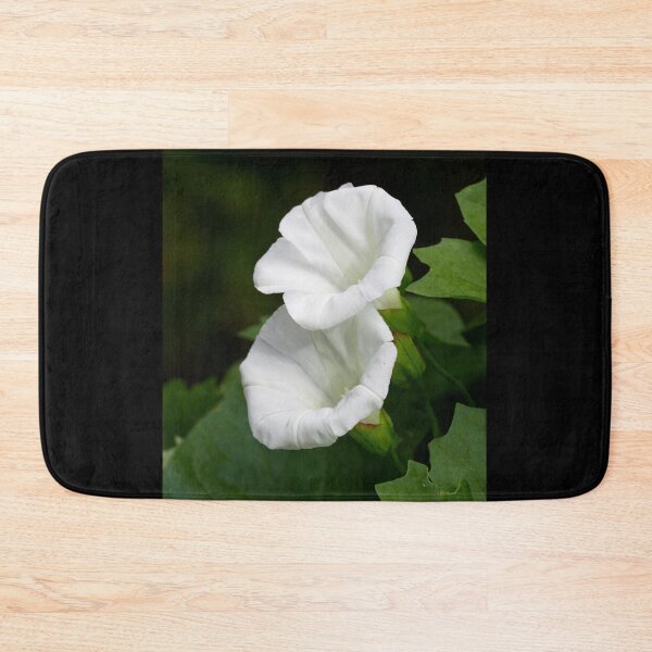 Item preview, Hedge Bindweed 1 designed and sold by Jouko Lehto Photography.