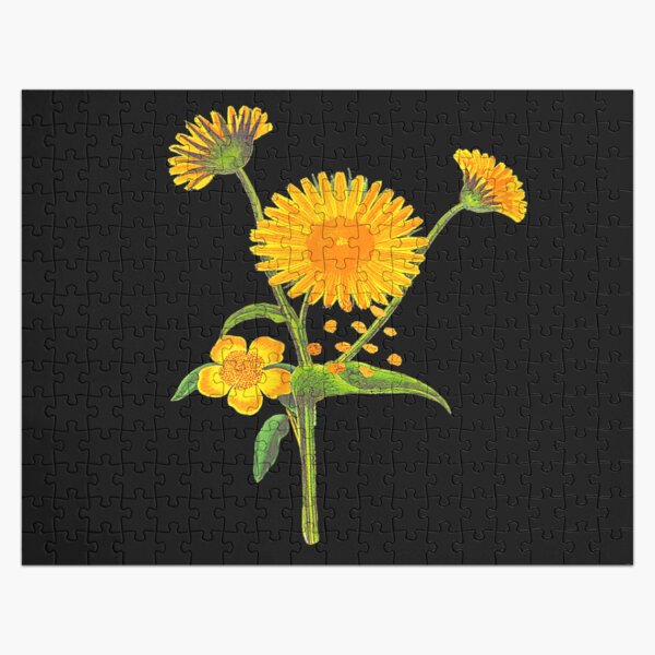 Artikel-Vorschau von einzelne Sonnenblume weiß, designt und verkauft von harolhaw.