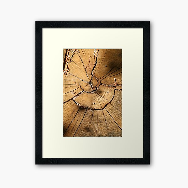 Tree heart texture, design wood photography Framed Art Print