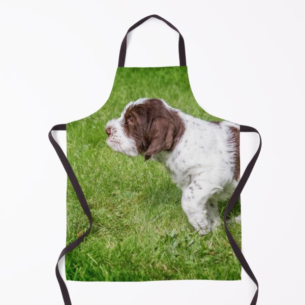 Item preview, Spinone Puppy on Point by heidiannemorris designed and sold by FOLK ART FUSION by heidiannemorris.