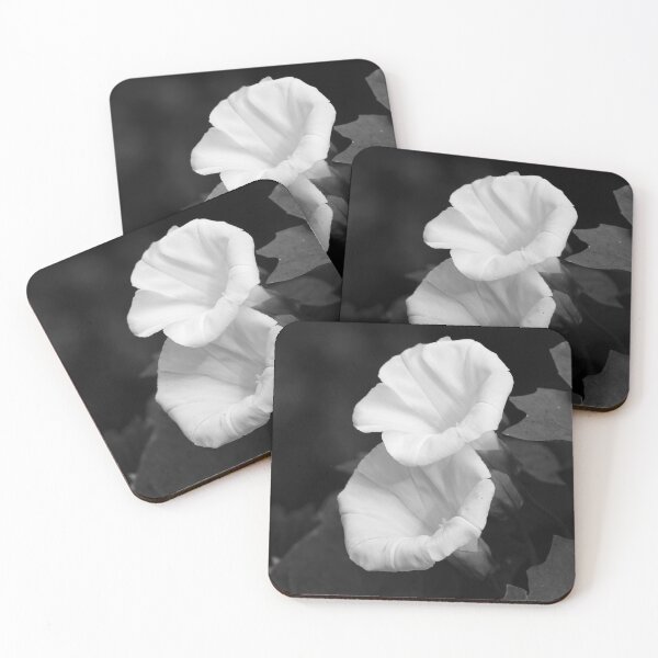 Item preview, Hedge Bindweed bw designed and sold by Jouko Lehto Photography.