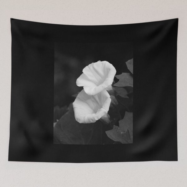 Item preview, Hedge Bindweed bw designed and sold by Jouko Lehto Photography.