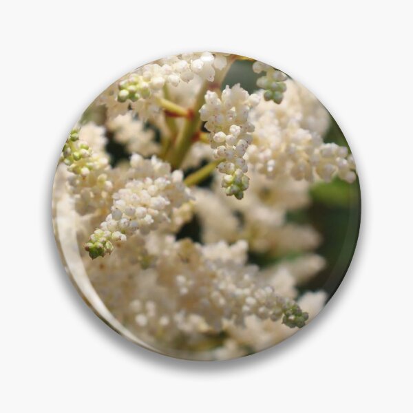 Item preview, Primer plano de flor blanca designed and sold by JumpinJacks.
