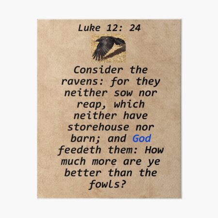 King James Bible (www.thekingsbible.com) - Luke 12:24 Consider the ravens:  for they neither sow nor reap; which neither have storehouse nor barn; and  God feedeth them: how much more are ye better