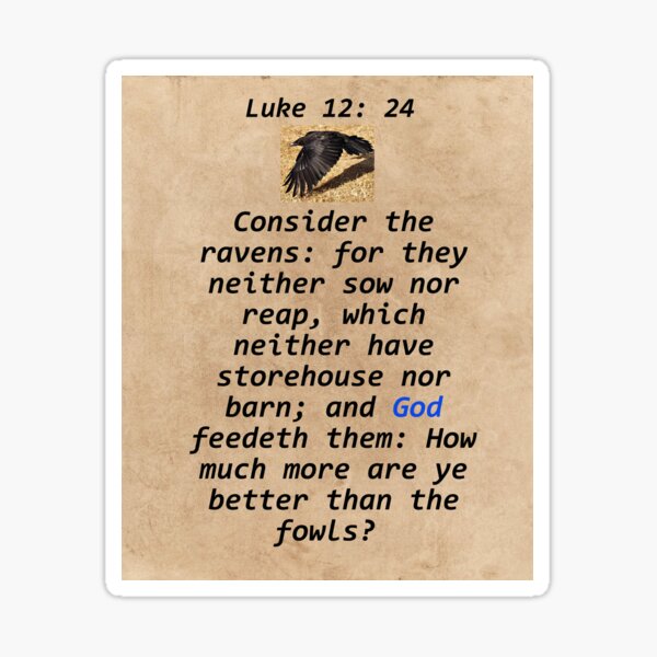 Luke 12:24 Consider The Ravens T-Shirt