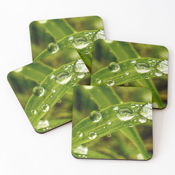 Item preview, Rain Drops designed and sold by hariharanvg.