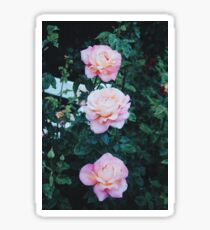 Flora 04 Sticker