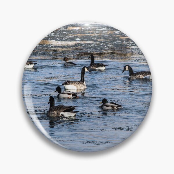 Item preview, Geese and mallards designed and sold by CanadianWild418.