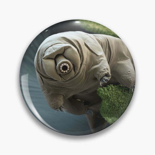Item preview, Water Bear or Tardigrade Under the Microscope designed and sold by ScienceSource.