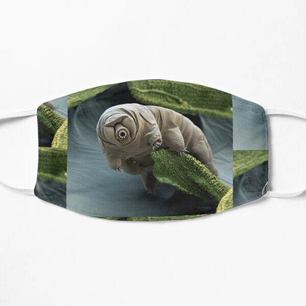 Water Bear or Tardigrade Under the Microscope Mask