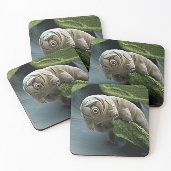Item preview, Water Bear or Tardigrade Under the Microscope designed and sold by ScienceSource.