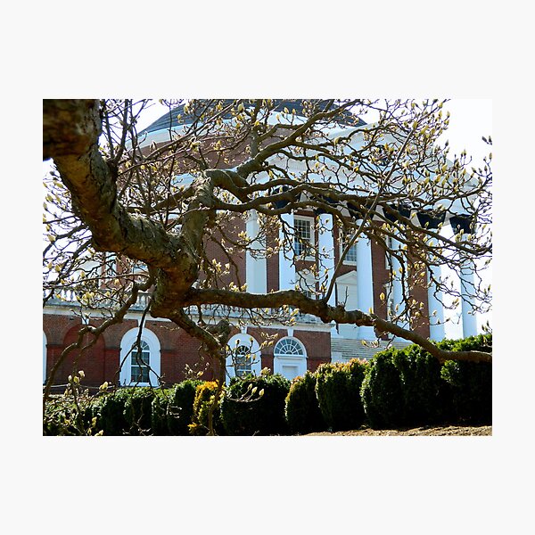 Early Spring on Campus-II Photographic Print