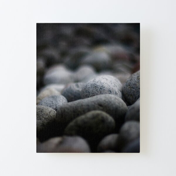 Rocks Canvas Mounted Print
