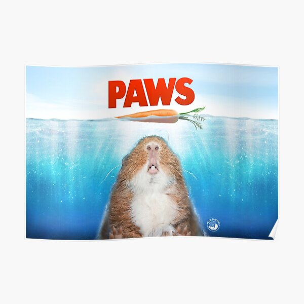 PAWS Poster