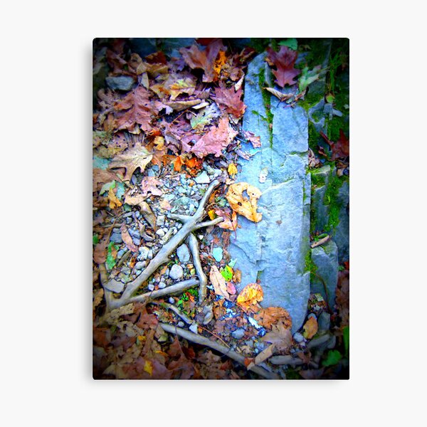 Item preview, Appalachian Roots designed and sold by Cecilia Carr.