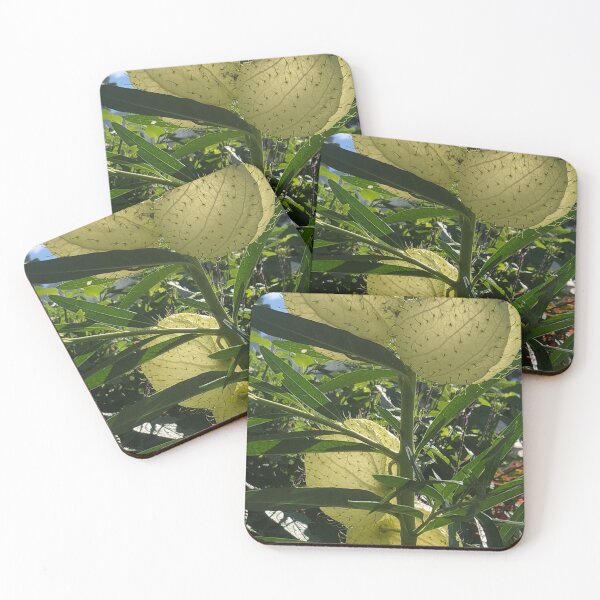 Item preview, Nailhead Balloonplant Swan Plant  designed and sold by Kaushal Pal.