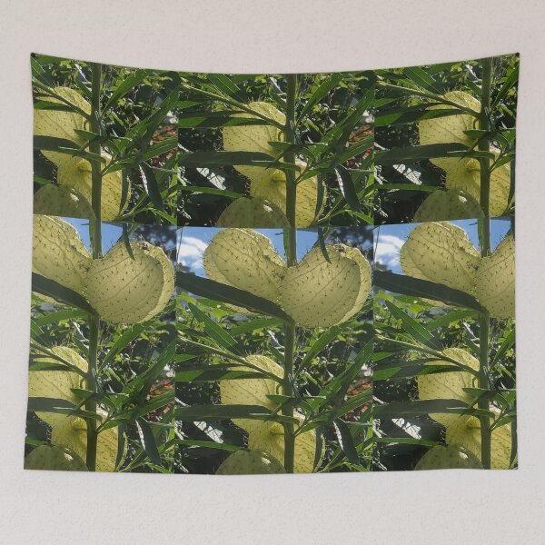 Item preview, Nailhead Balloonplant Swan Plant  designed and sold by Kaushal Pal.