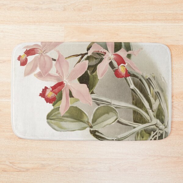 Item preview, Reichenbachia: Orchids Illustrated and Described designed and sold by EsotericBotanic.