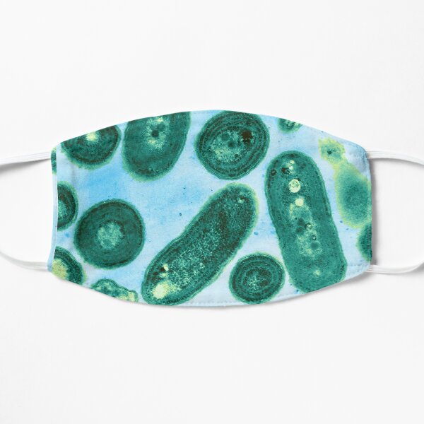 Blue-Green Algae Mask
