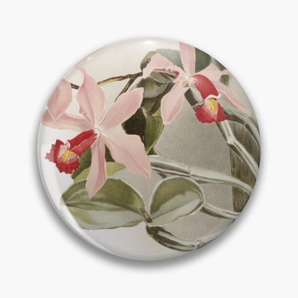 Item preview, Reichenbachia: Orchids Illustrated and Described designed and sold by EsotericBotanic.