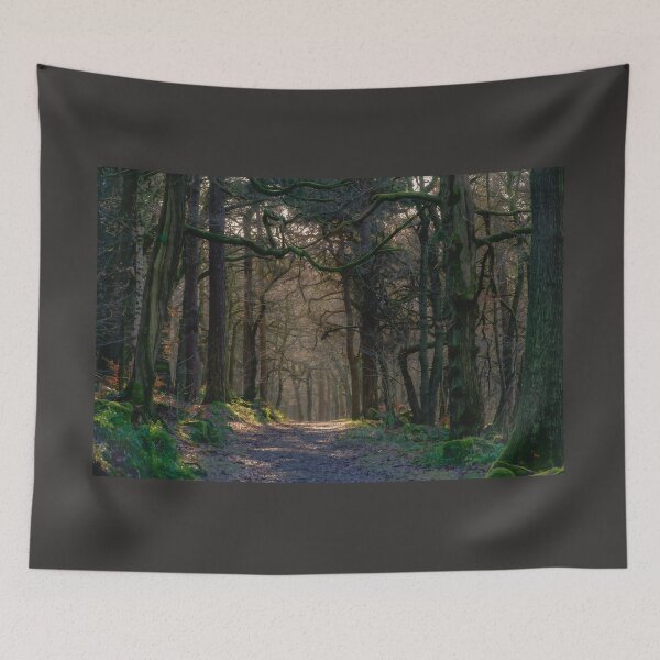 Artikelvorschau, Padley Gorge Woodland entworfen und verkauft von Alisonchambers2.