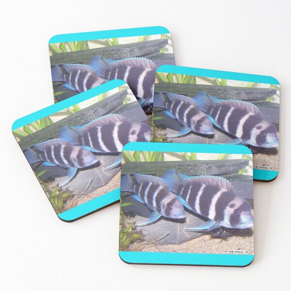 Item preview, fish 2 designed and sold by AlfordsStore.