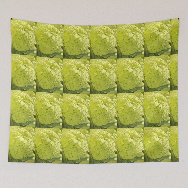 Item preview, Gomphocarpus Physocarpus Hairy Balls designed and sold by Kaushal Pal.