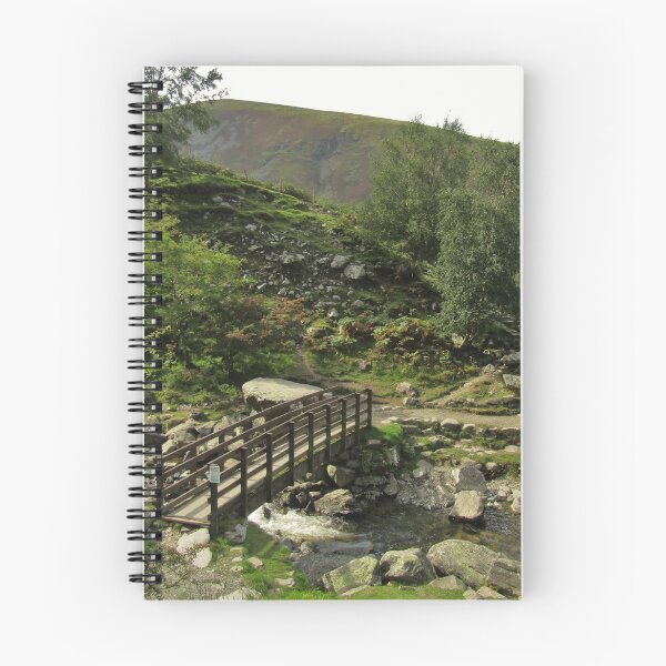 Item preview, Aber Falls Bridge designed and sold by S-F-Corbin.