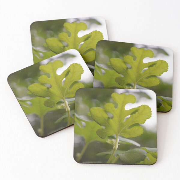 Item preview, Closeup of beautiful green leaves in spring designed and sold by sPalandar.