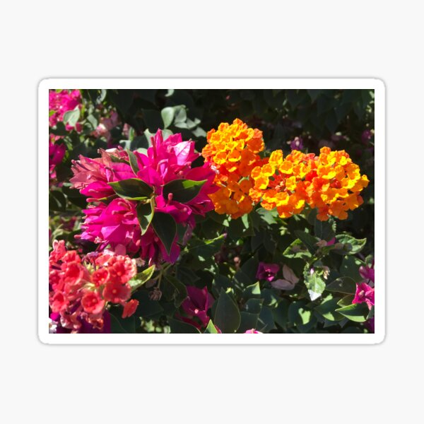 Happy Flowers Sticker