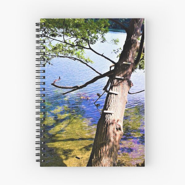 Item preview, Tree ladder over lake designed and sold by Mind2Line.