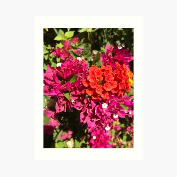 Love Inspired Spring Flowers Art Print