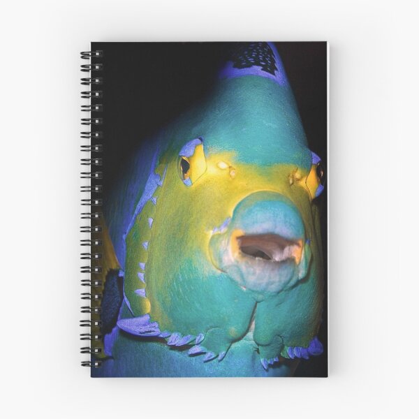 Item preview, fish 3 designed and sold by AlfordsStore.