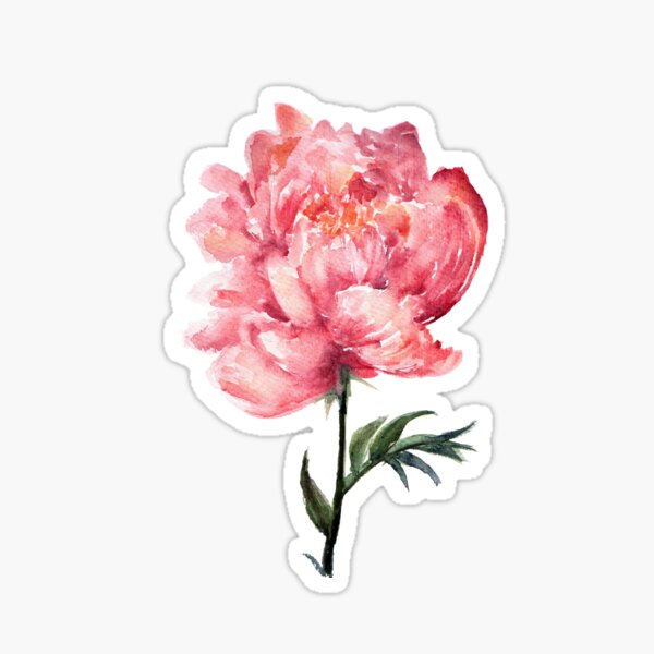 Peony 2 Sticker