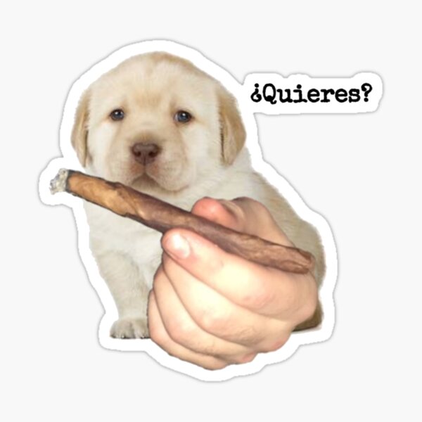 Item preview, Perro designed and sold by Jobolo718.