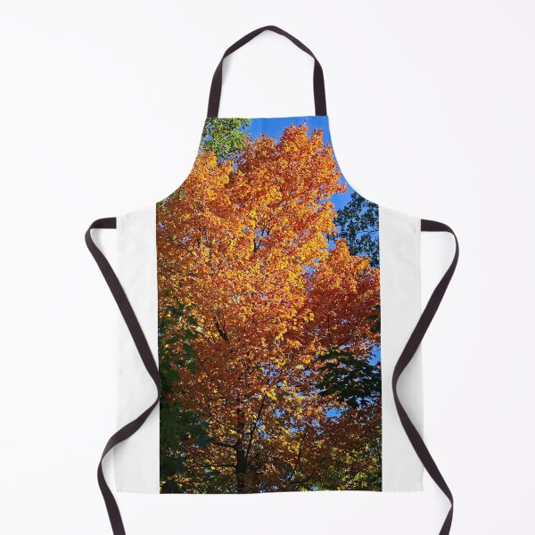 Artikelvorschau, Arboretum Fall 6, Madison, Wisconsin entworfen und verkauft von StevenRalserPhoto.
