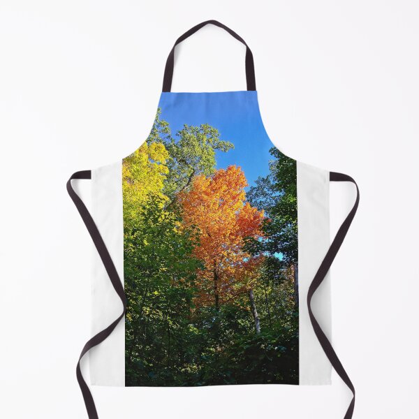 Item preview, Arboretum Fall 5, Madison, Wisconsin designed and sold by StevenRalserPhoto.