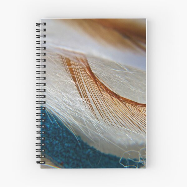 Item preview, Feathers designed and sold by mrthink.
