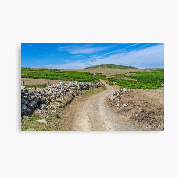 Item preview, Walking around Ramsey Island Nature Reserve designed and sold by yackers1.