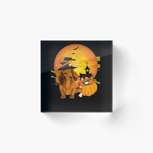cute dachshund Dog Halloween 2020 witch hat and Pumpkin Acrylic Block