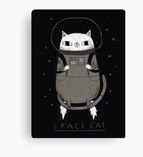 space cat Canvas Print