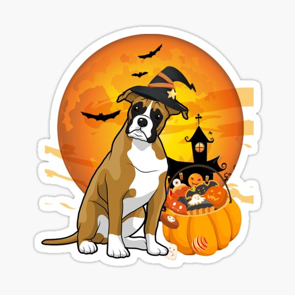 boxer dog pumpkin